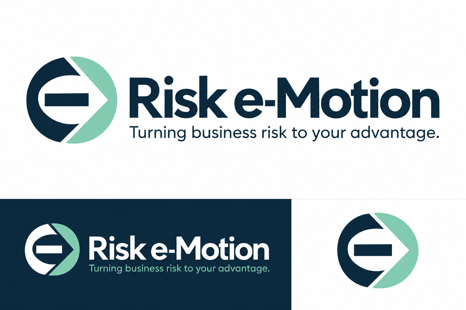 Risk e-Motion — Turning business risk to your advantage.